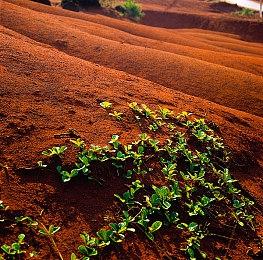 《肯泽拉传说：扎乌》–现已于 Steam 新品节推出试玩！